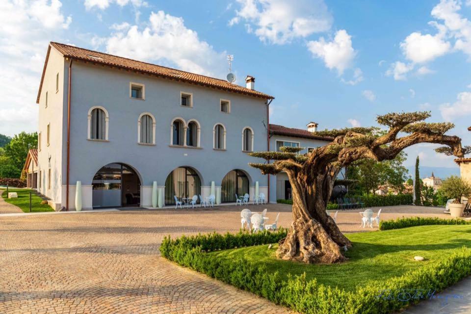 Hotel K-Farm Malo  Zewnętrze zdjęcie